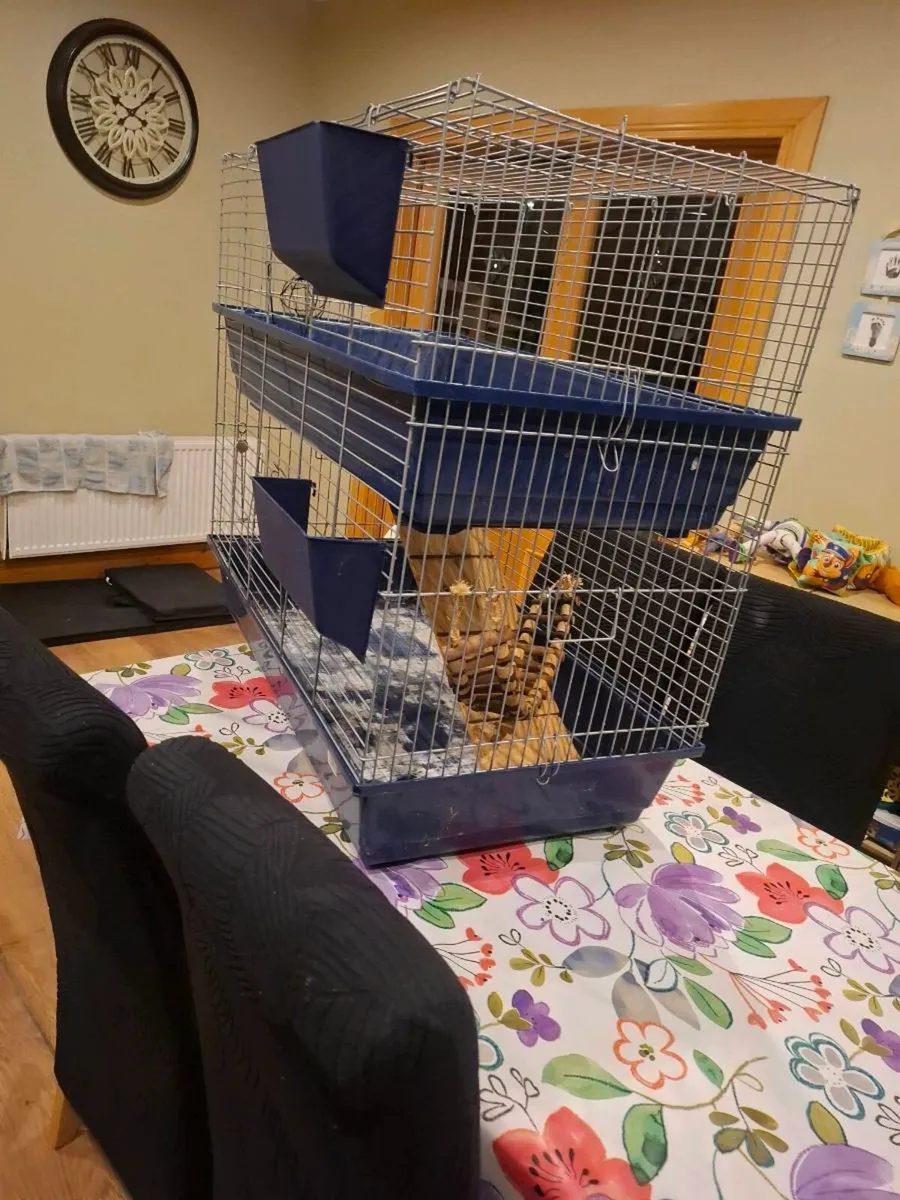 Guinea Pig 2 tier enclosure - Image 1
