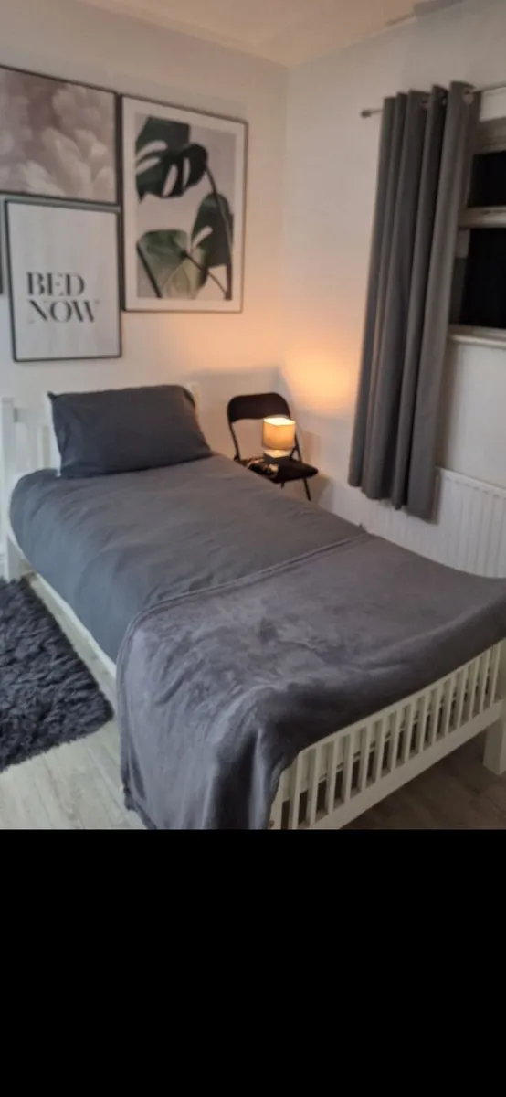 Bed 2 single bed frames . - Image 1