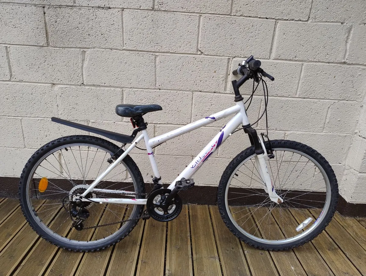 Adult bike
