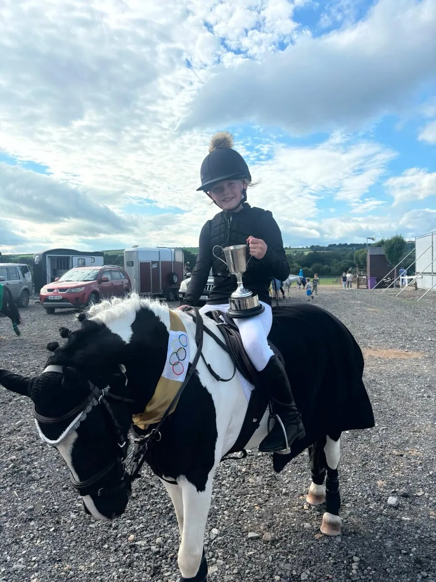 Pony club all rounder - Image 1