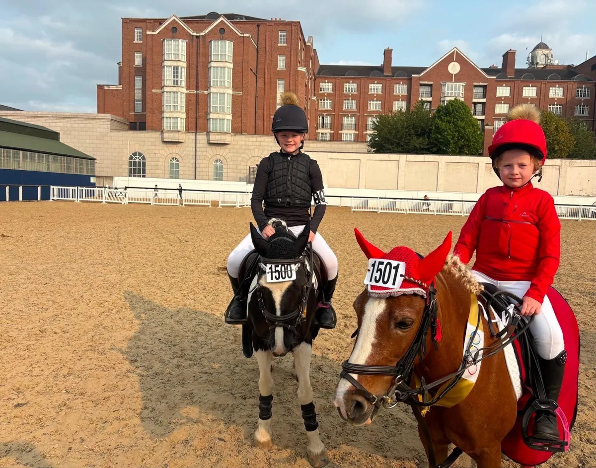 Pony club all rounder - Image 2