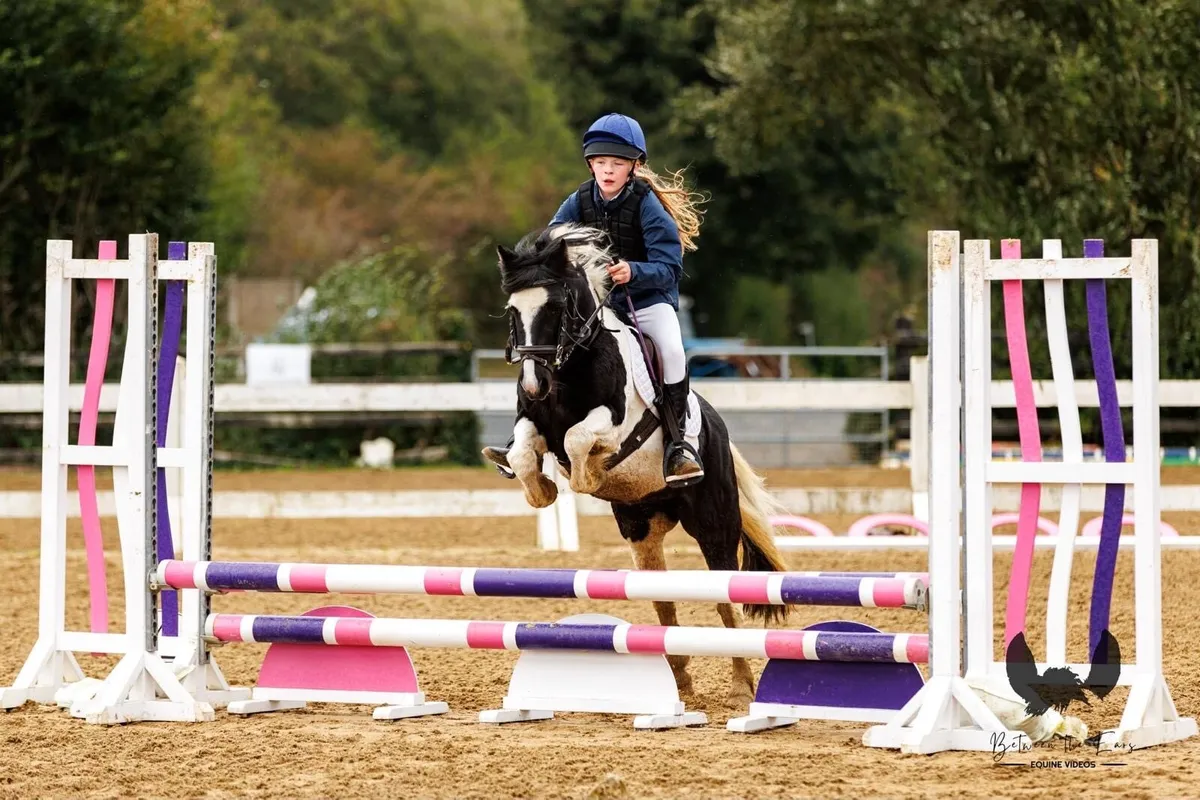 Pony club all rounder - Image 3