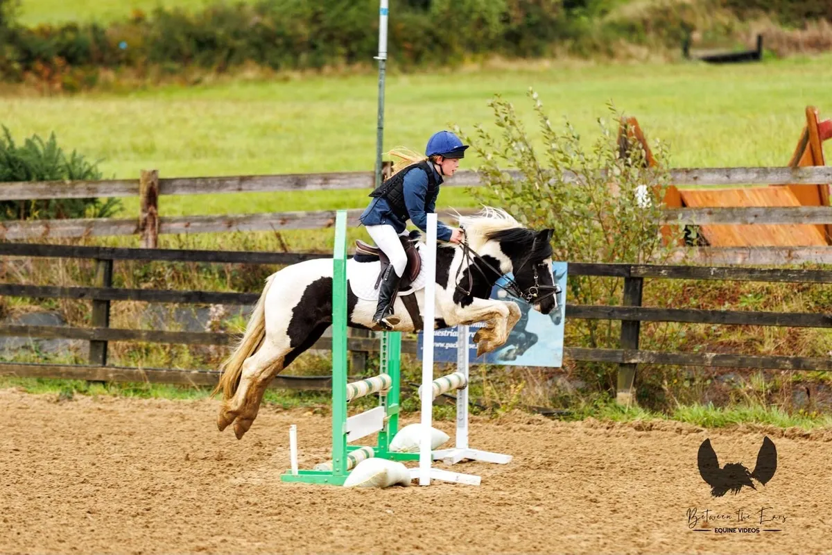 Pony club all rounder - Image 4