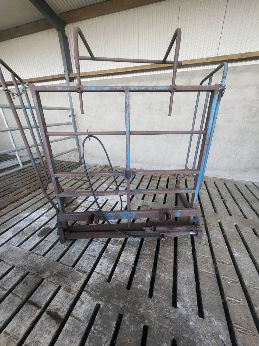 Tanco 21 square bale lifter - Image 1