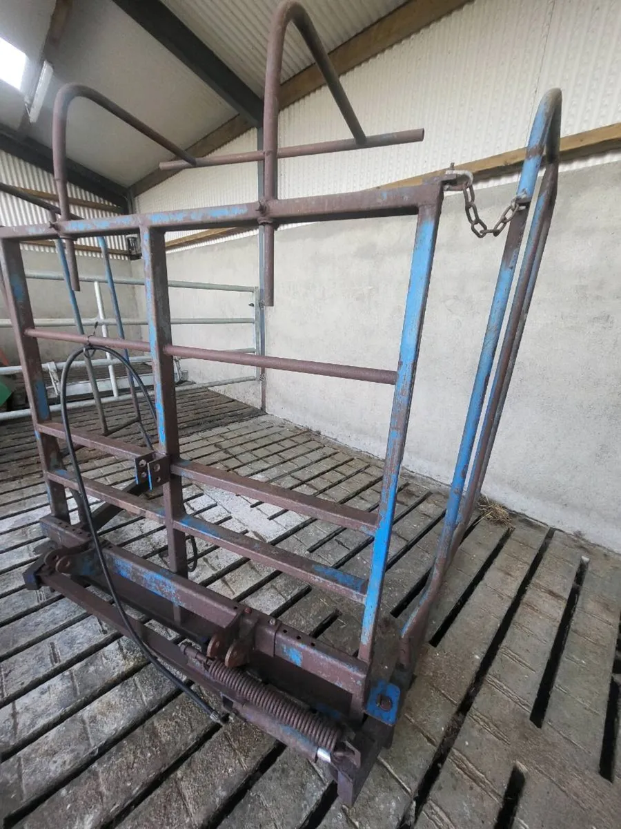 Tanco 21 square bale lifter - Image 3