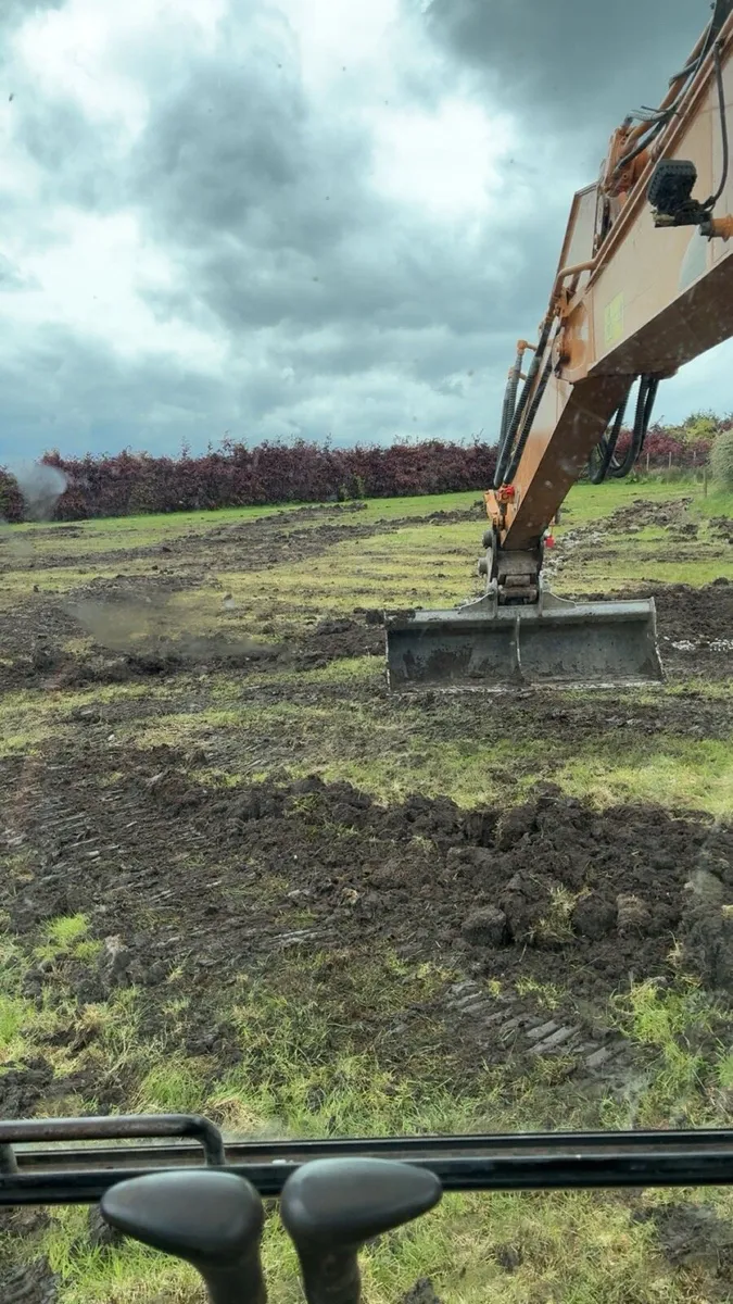 13T mulching / tree shearing - Image 3