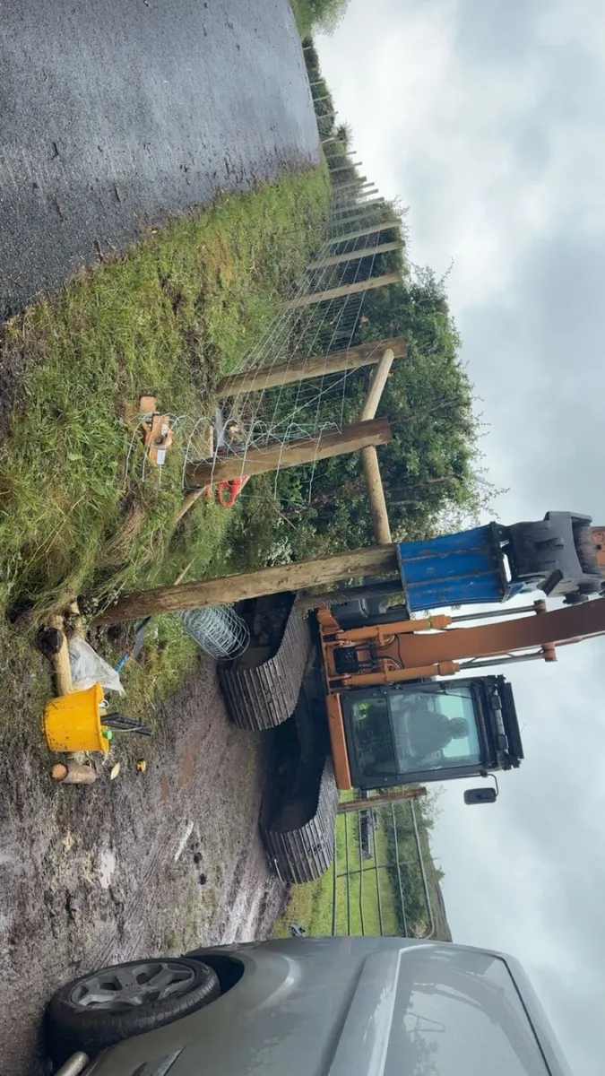 13T mulching / tree shearing - Image 4