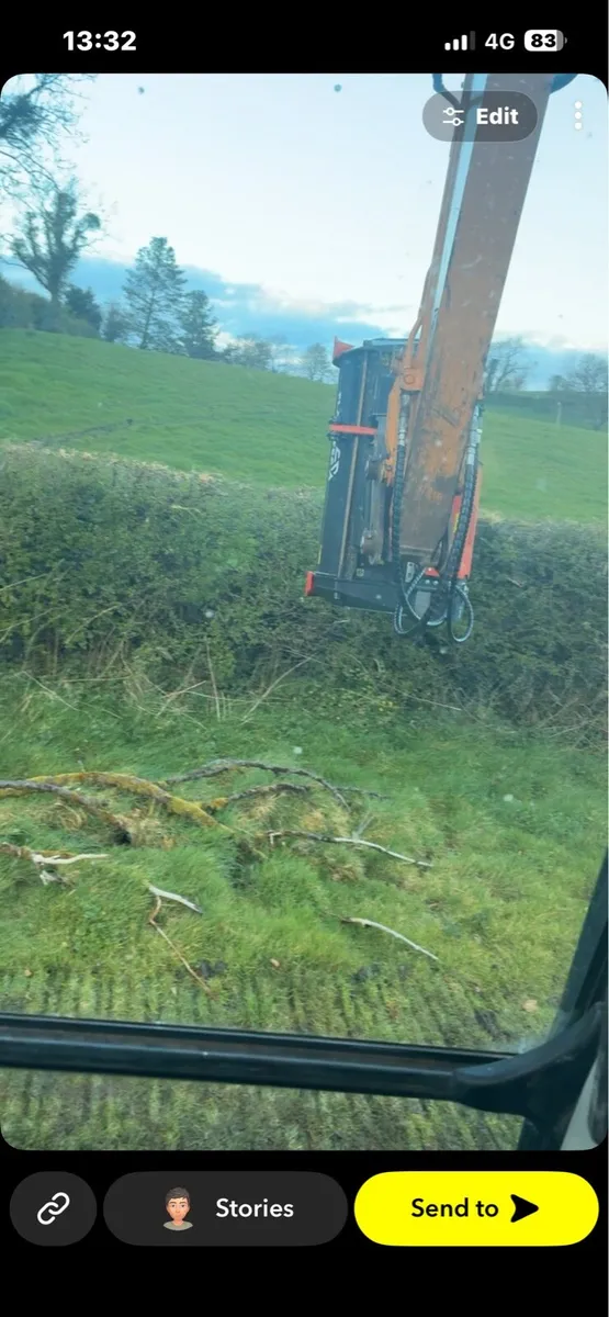 13T mulching / tree shearing - Image 2