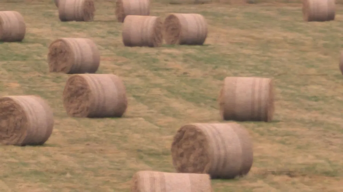 Round Hay bales - Image 1
