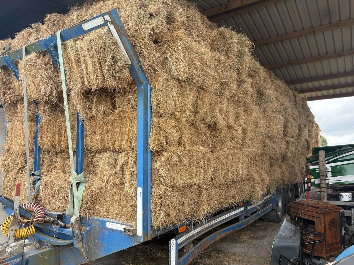 Hay - Image 1