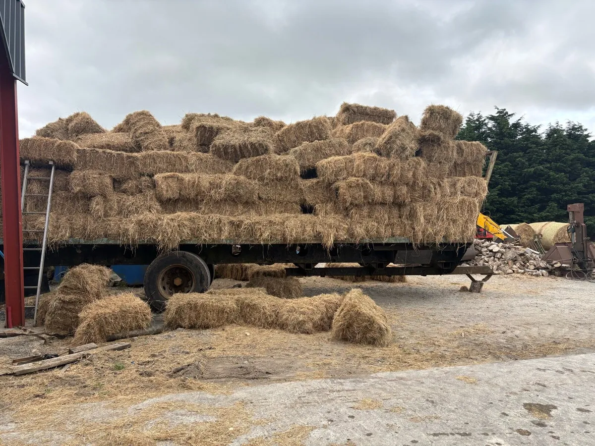 Hay - Image 2