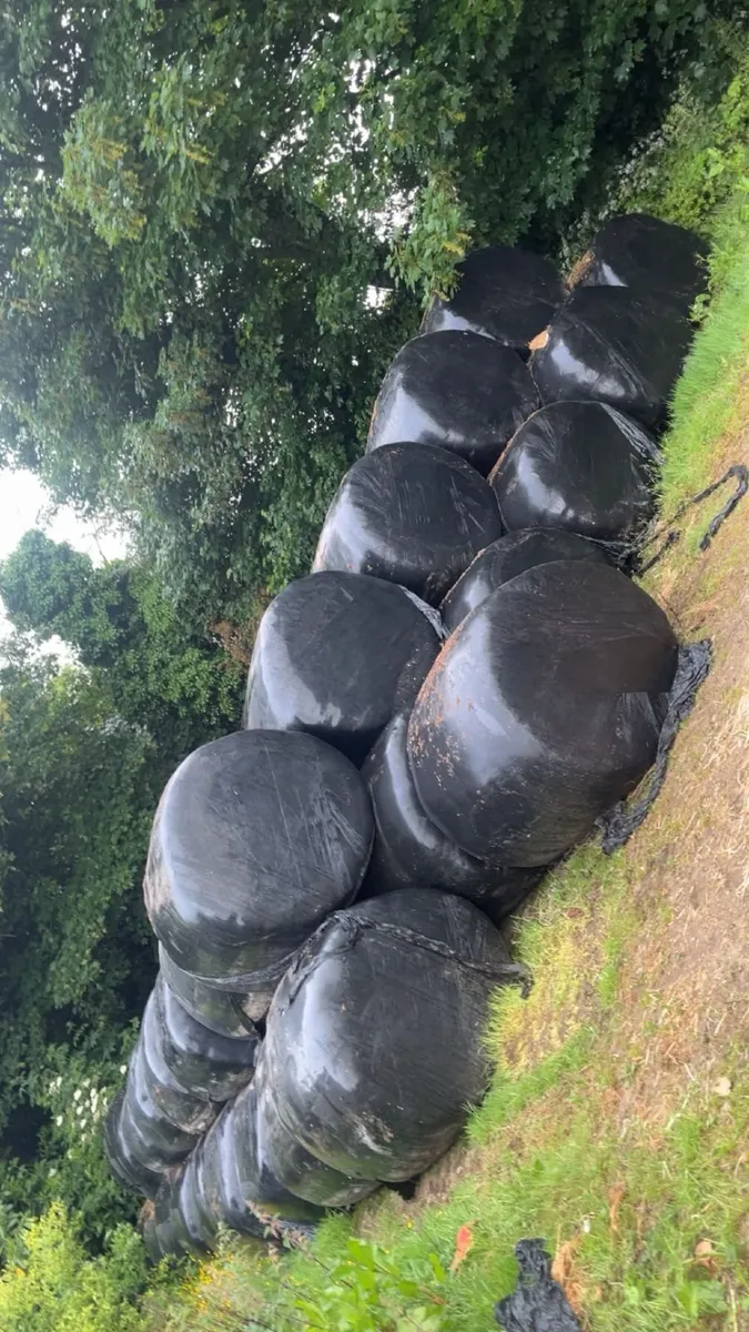 Silage Bales