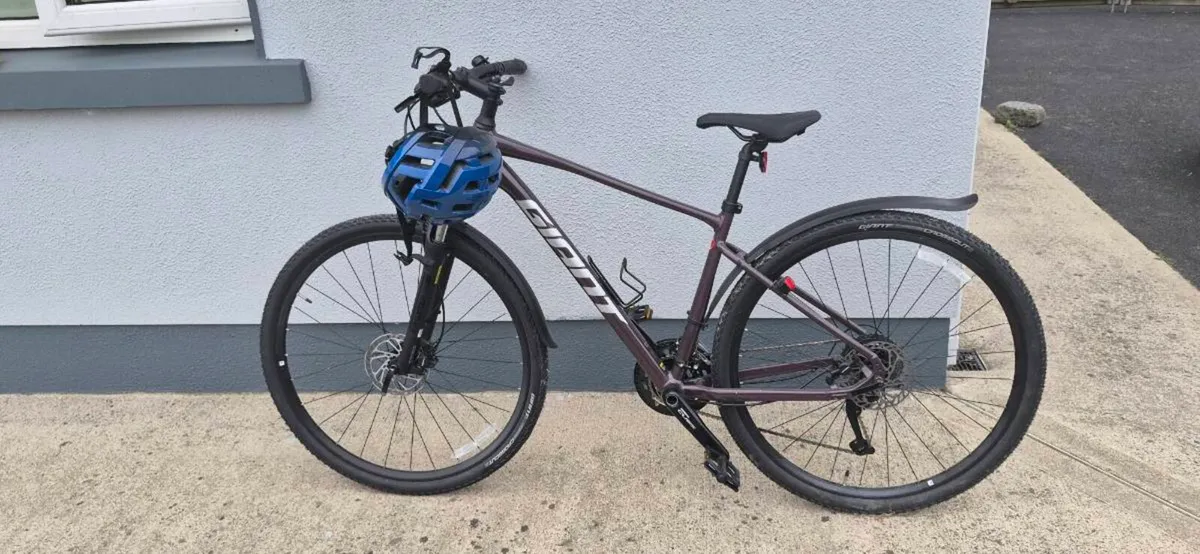 Giant Roam Bike - Image 2