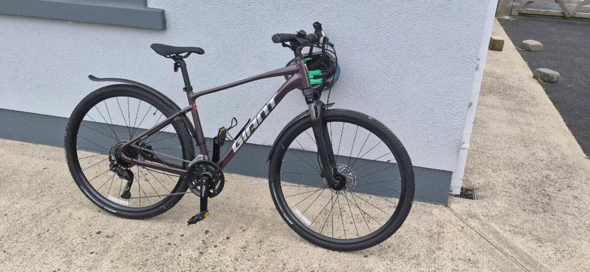 Giant Roam Bike - Image 1