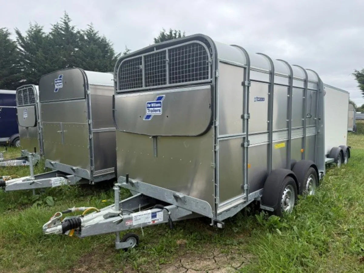 T3050181 TA510 10' x 5'10 Ifor William xxx - Image 1