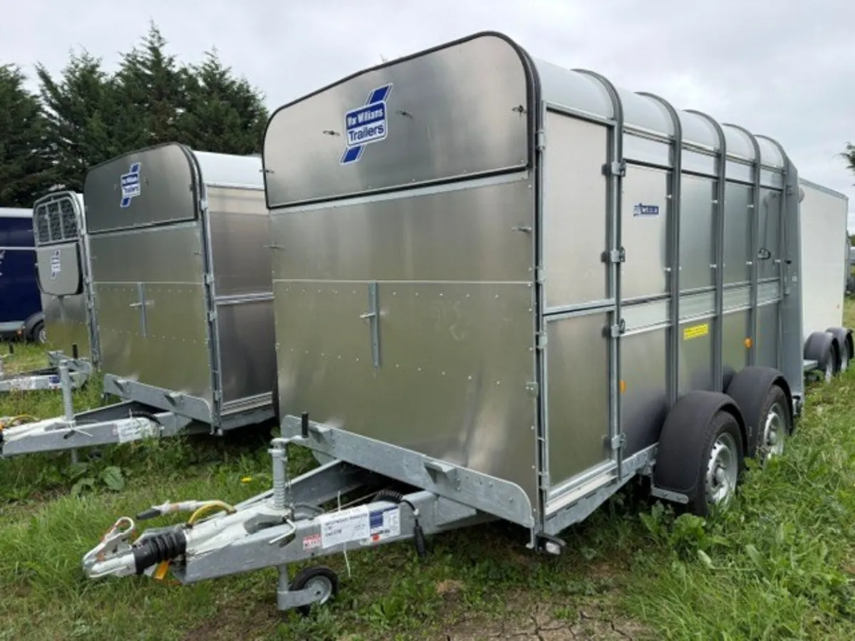 T3050181 TA510 10' x 5'10 Ifor William xxx - Image 2