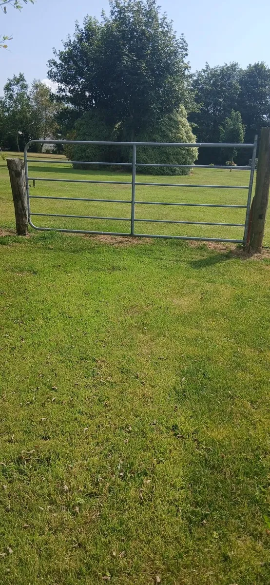 GATE - Image 3