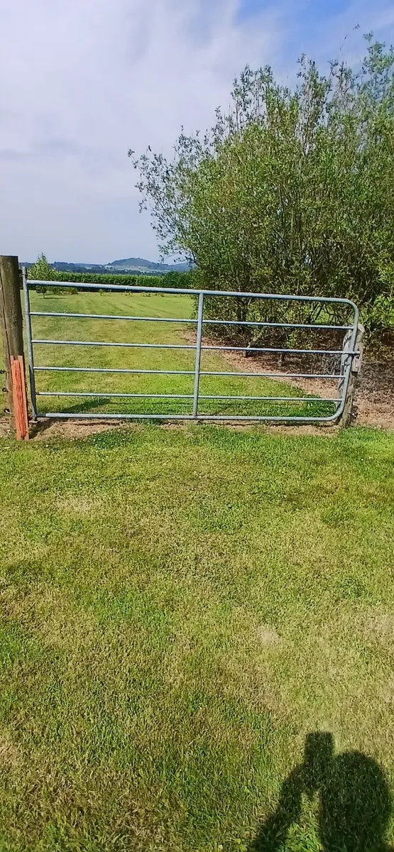 GATE - Image 2