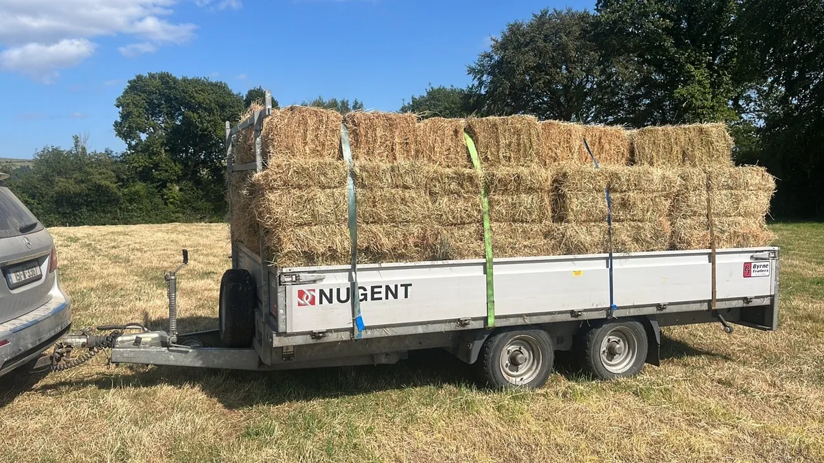 Small square Bales of Hay and Haylage - Image 2