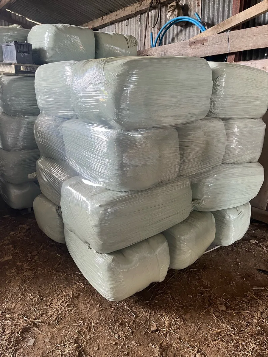 Small square Bales of Hay and Haylage - Image 3