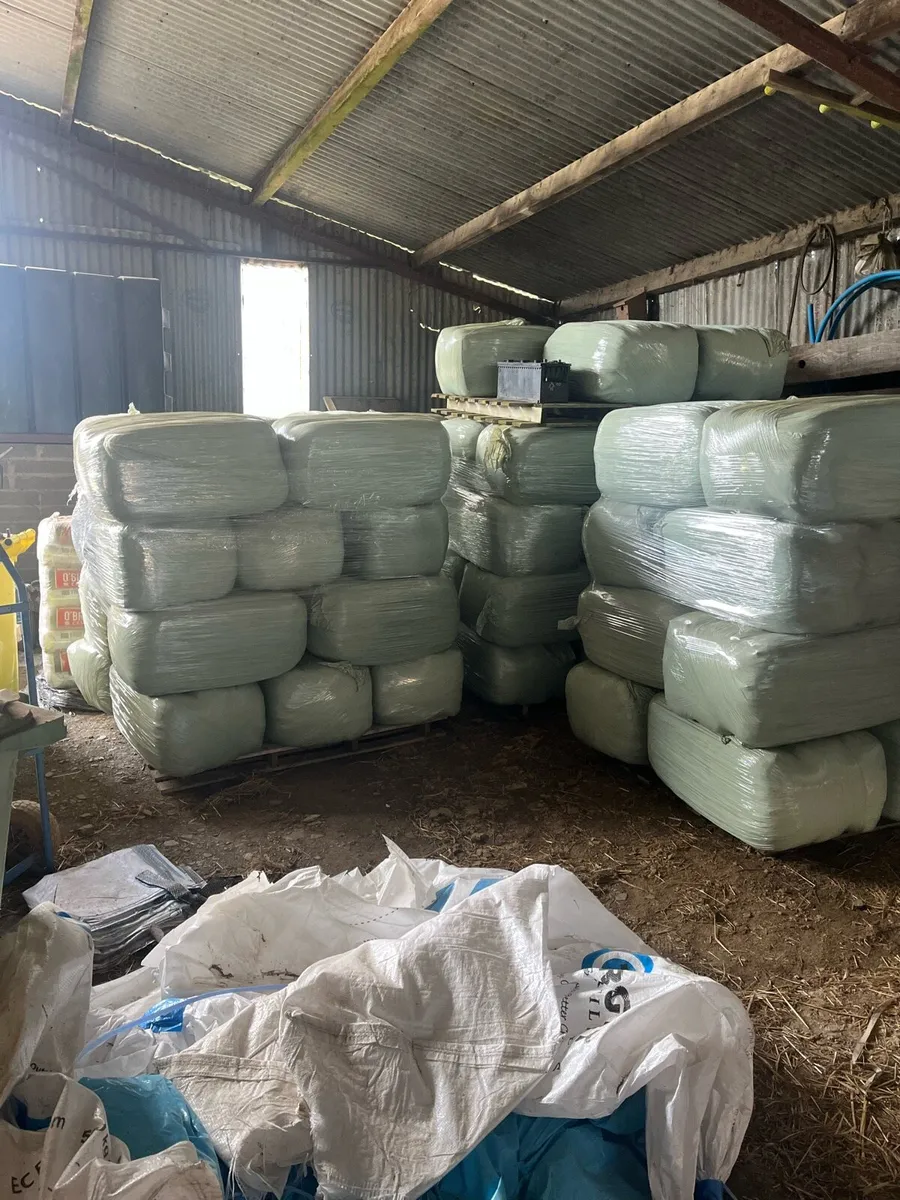 Small square Bales of Hay and Haylage - Image 4