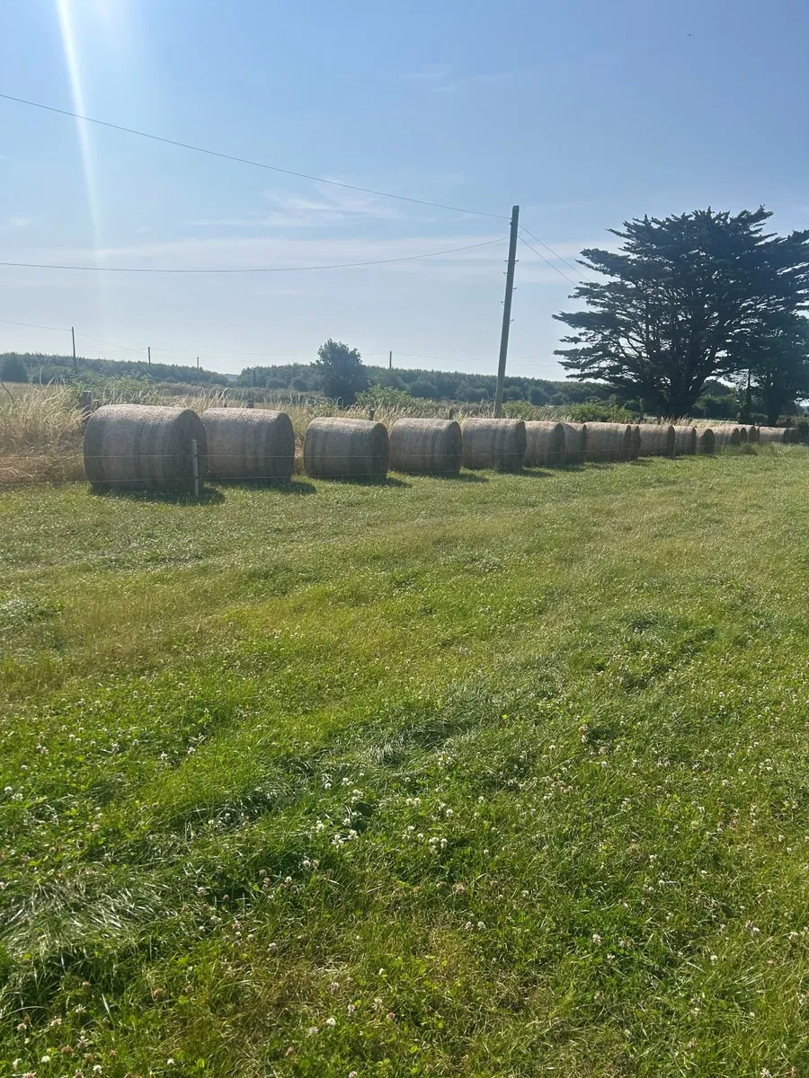 Hay - Price Drop - Image 1