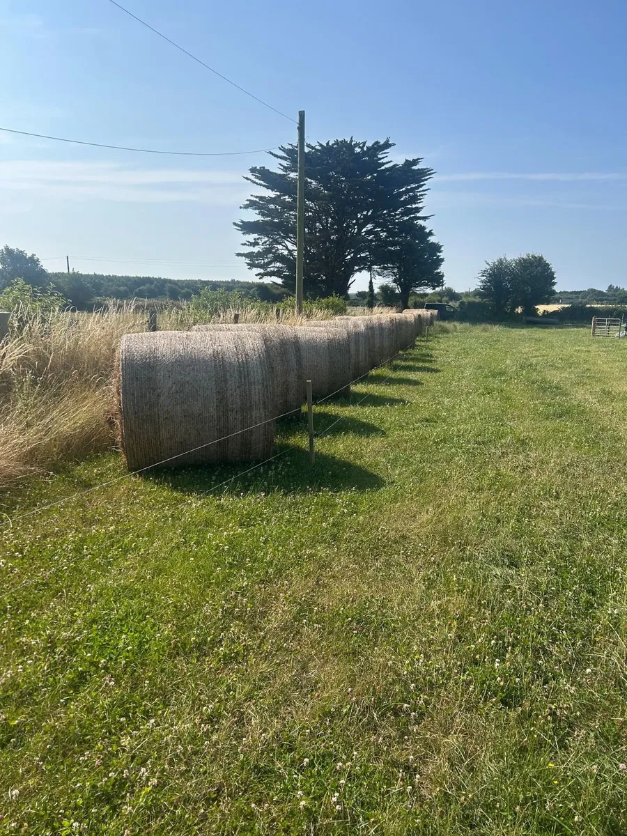 Hay - Price Drop - Image 2
