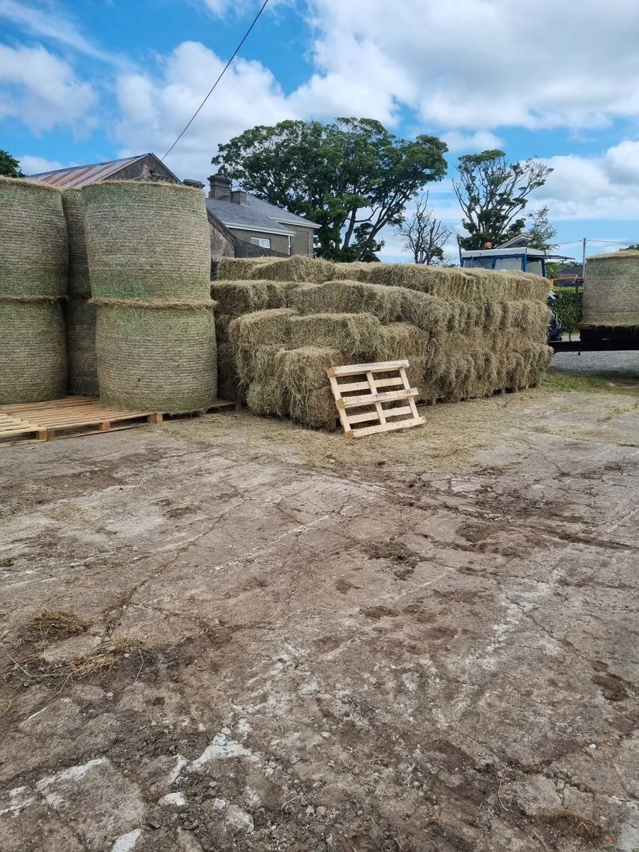 HAY - Image 2