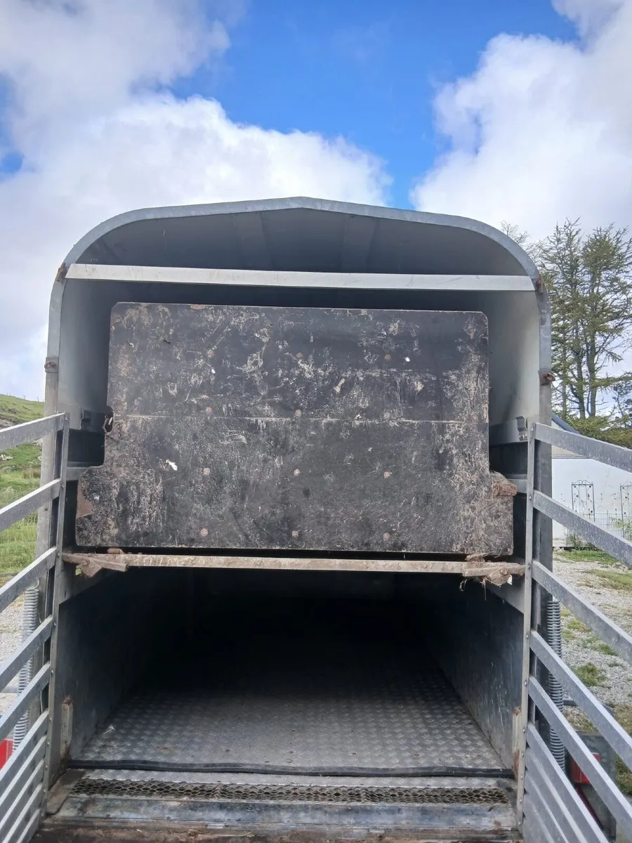Multi purpose trailer - Image 4