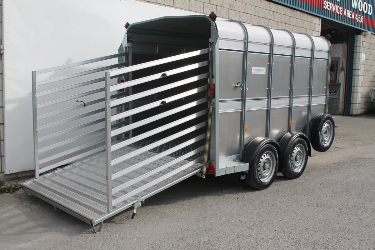 T3050181 TA510 10' x 5'10 Ifor William xxx - Image 4