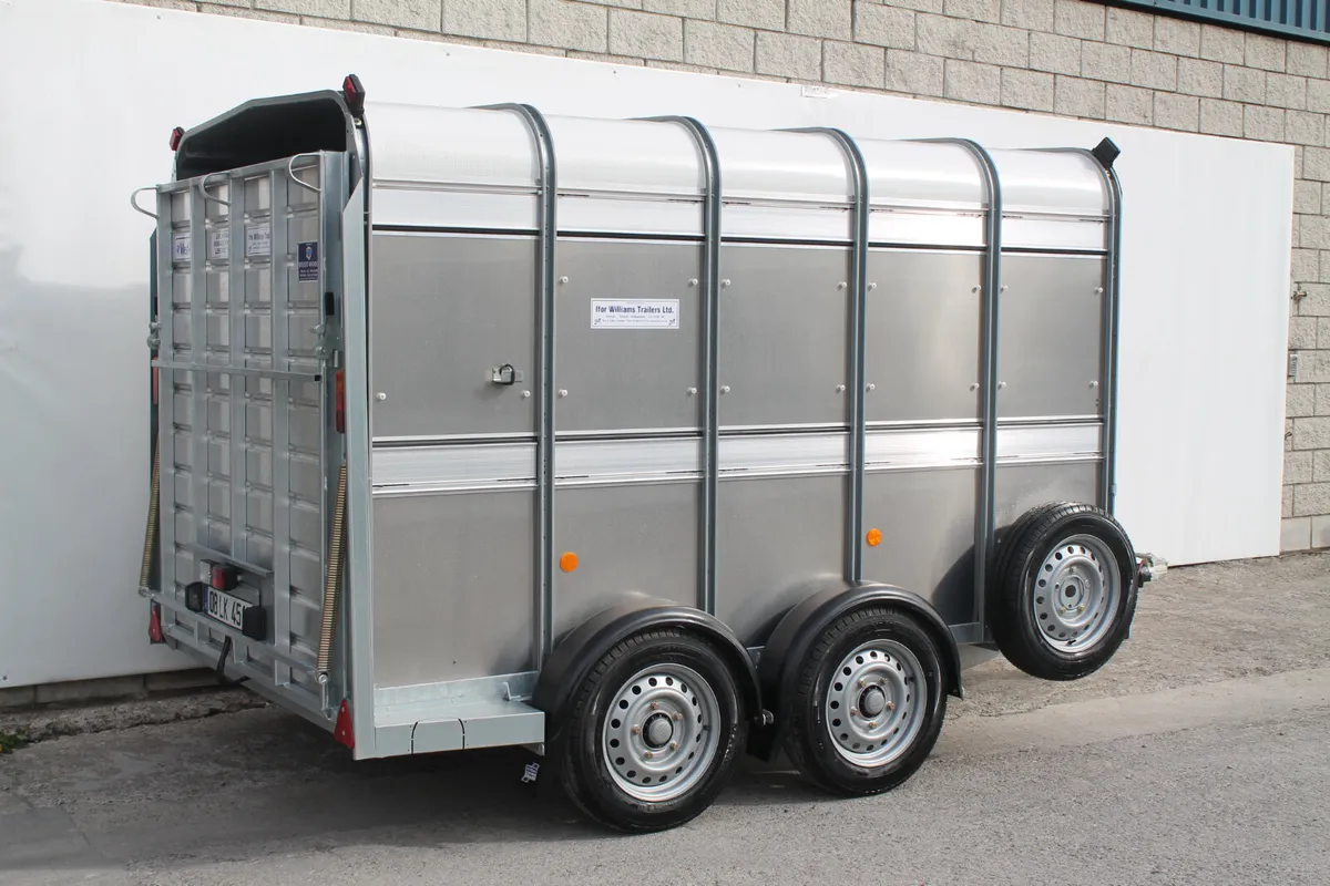 T3050181 TA510 10' x 5'10 Ifor William xxx - Image 3