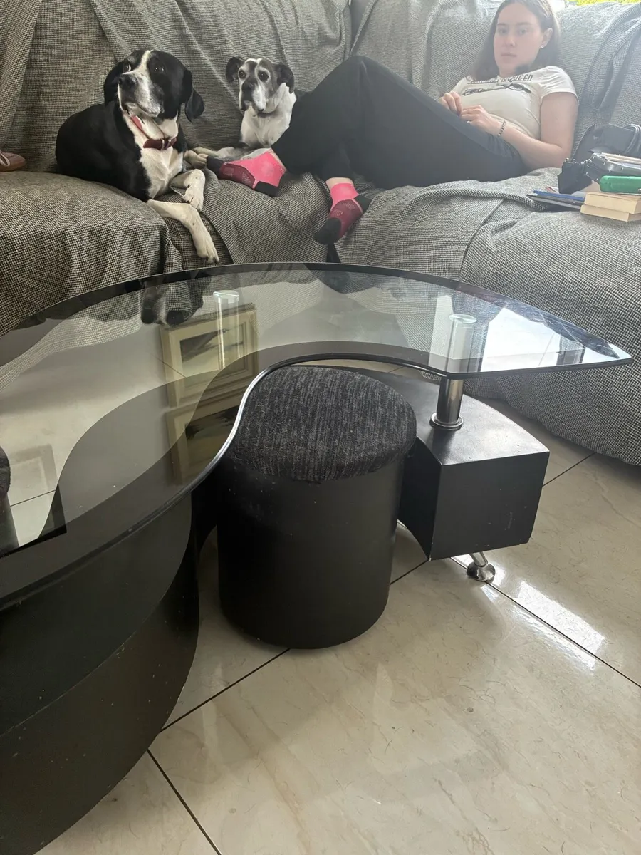 Coffee Table FREE - Image 4