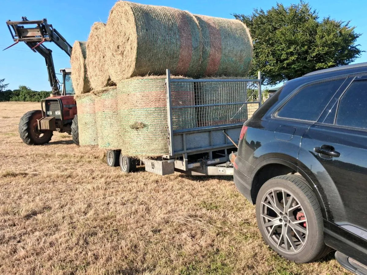 Hay