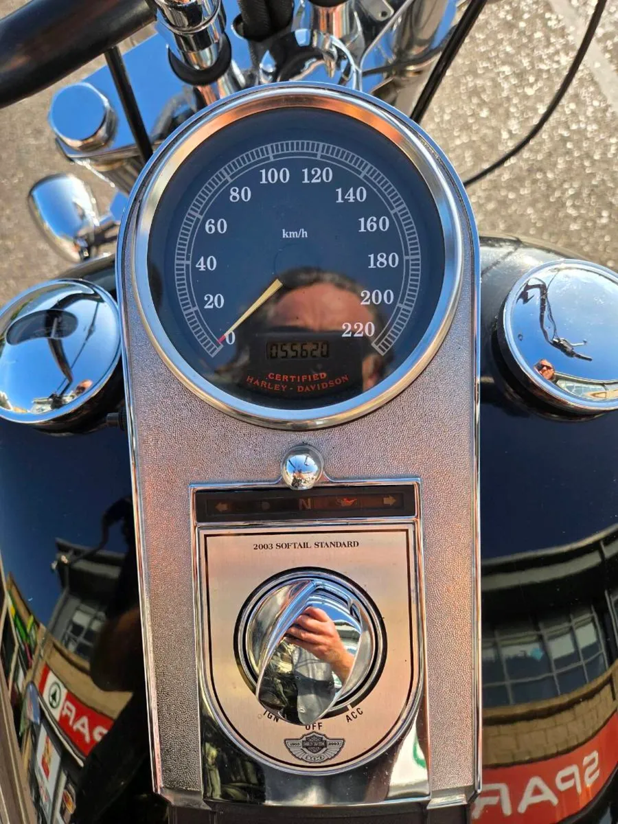 Harley Davidson softail anniversary model - Image 4