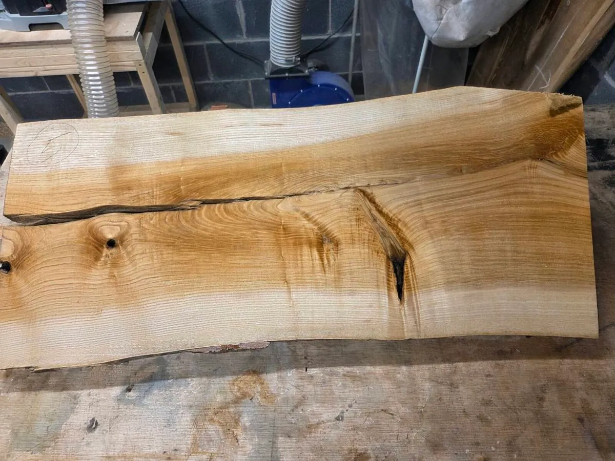Live edge Ash Slabs - Kiln Dried - Image 3