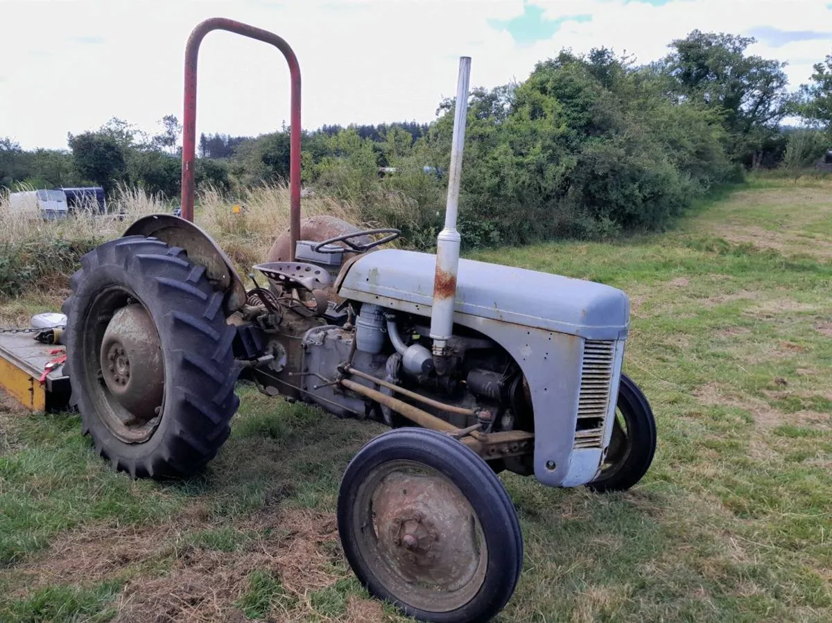 Ferguson TEF 20 Diesel - Image 1