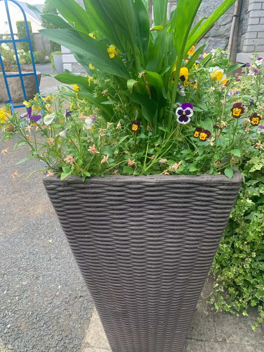 Planter Pots - Image 1