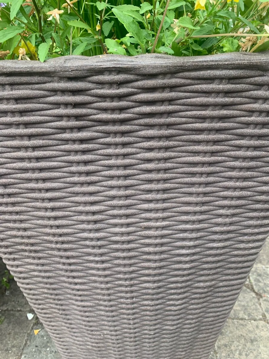 Planter Pots - Image 2