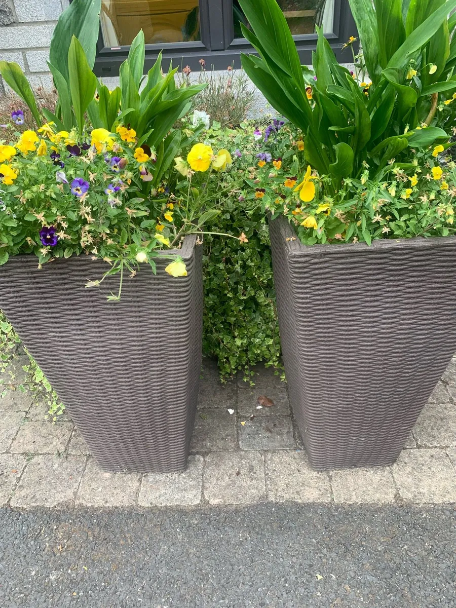 Planter Pots - Image 3