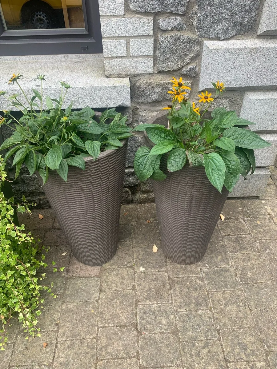 A pair of planter pots - Image 1