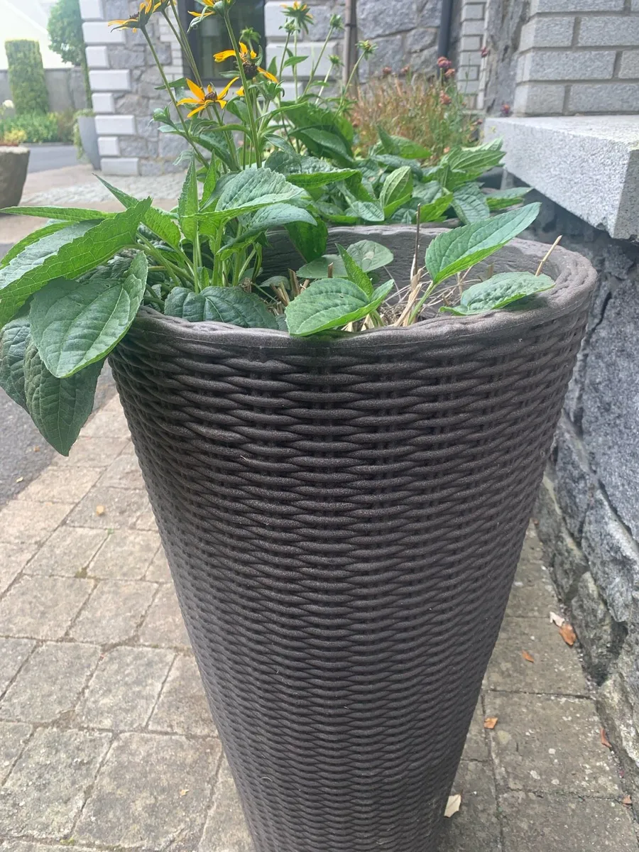 A pair of planter pots - Image 2