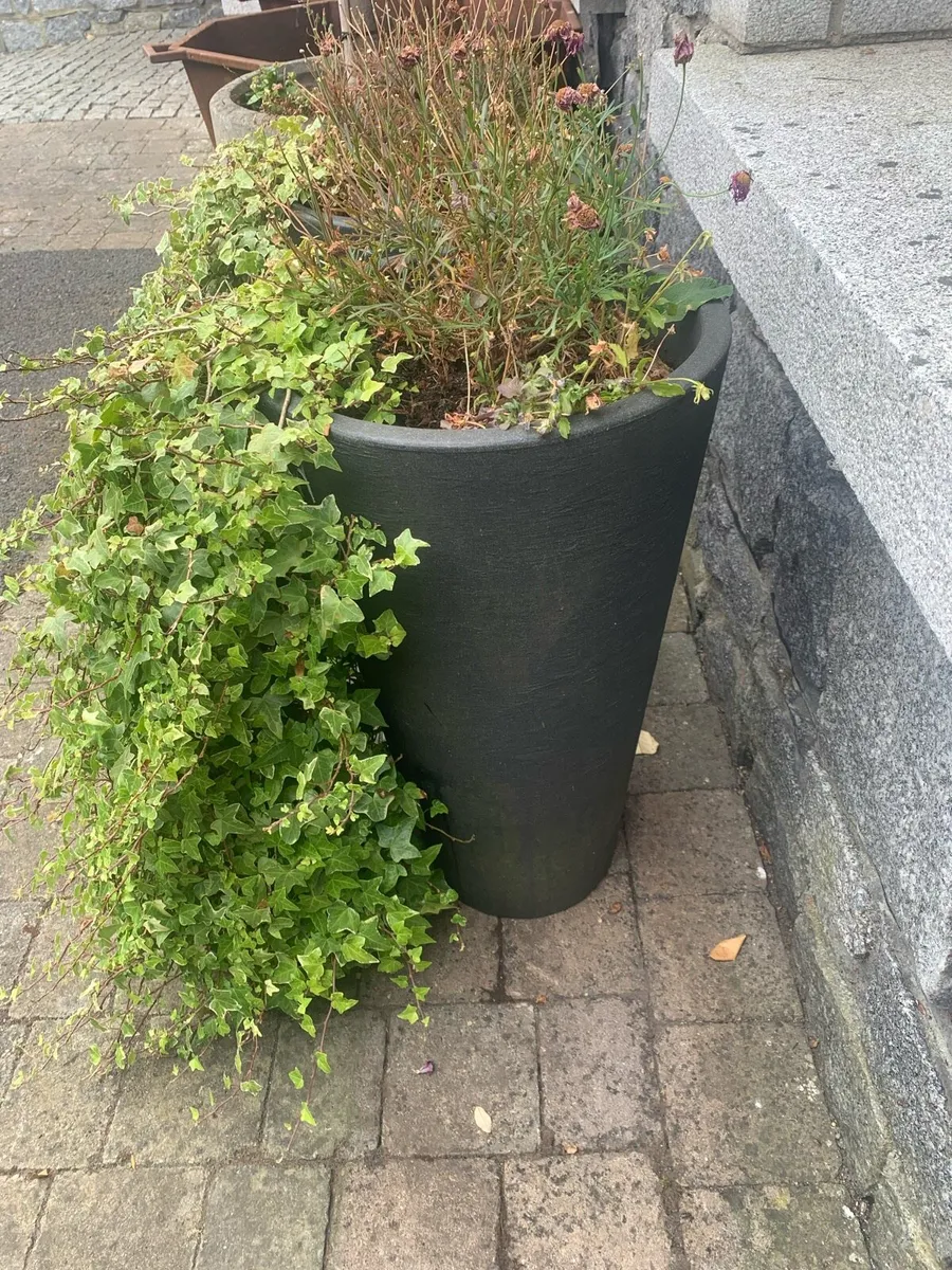 A Pair of Planter Pots - Image 1