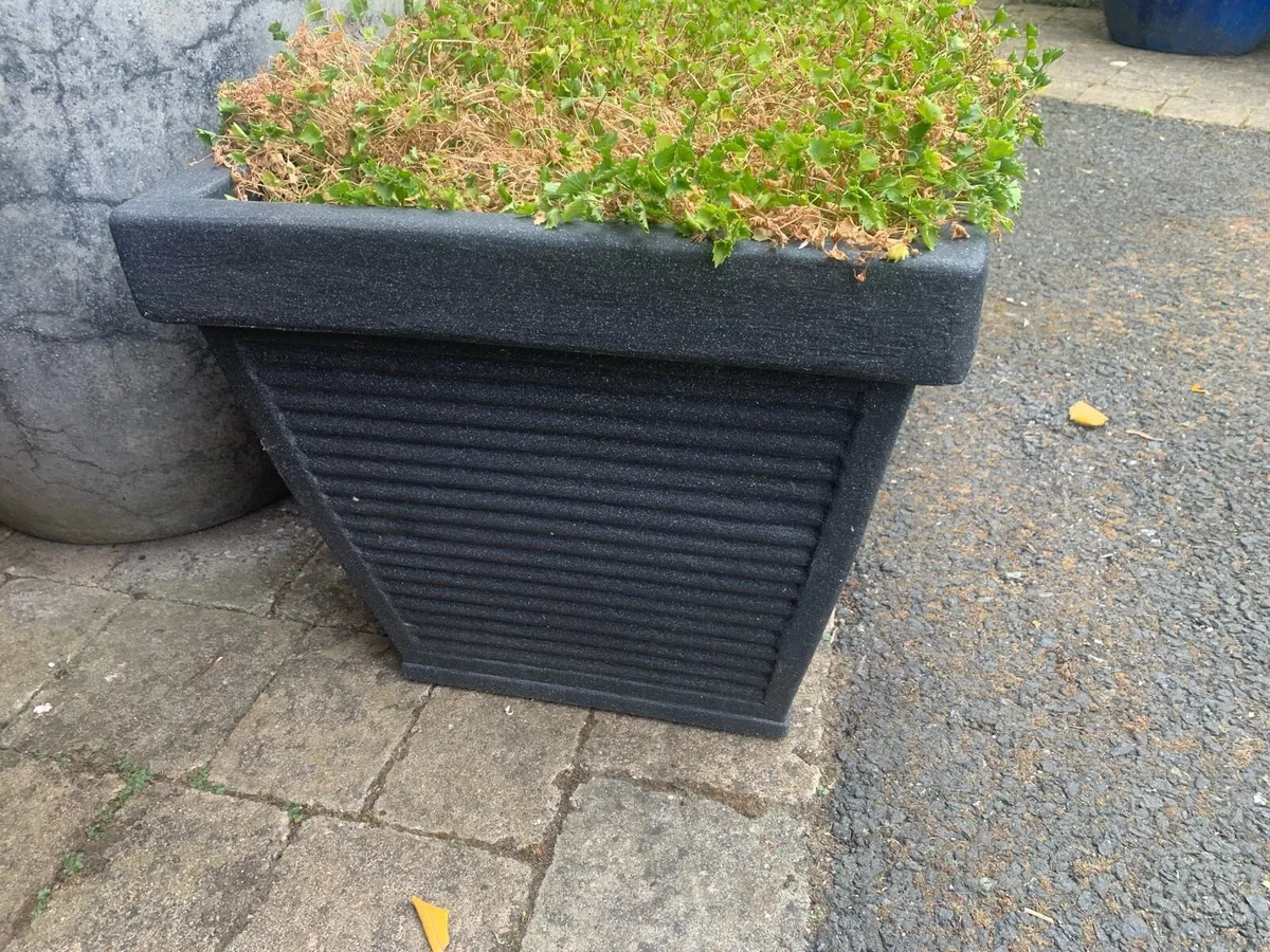 Planter Pot - Image 3