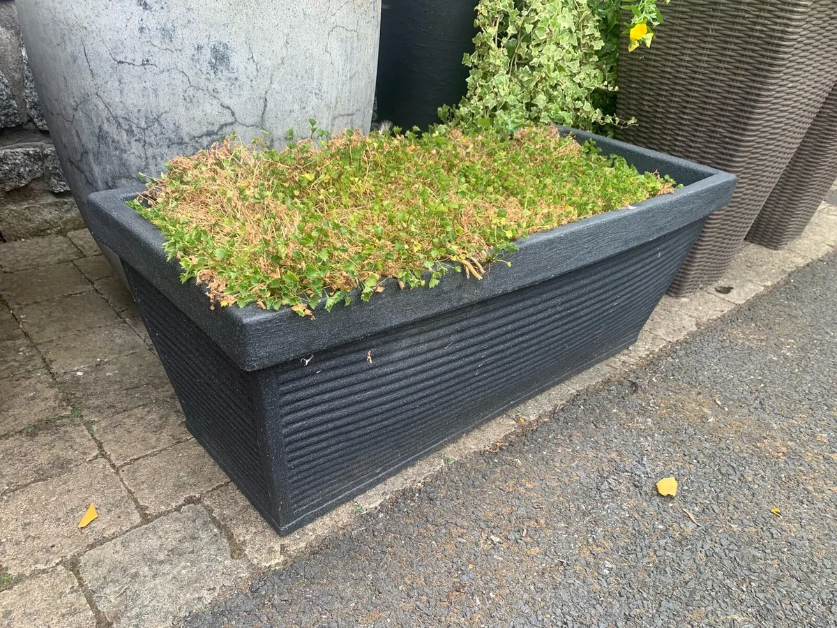 Planter Pot - Image 1