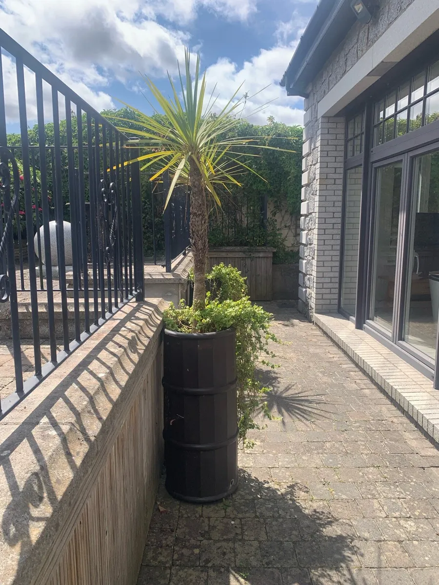Planters, pots - Image 1