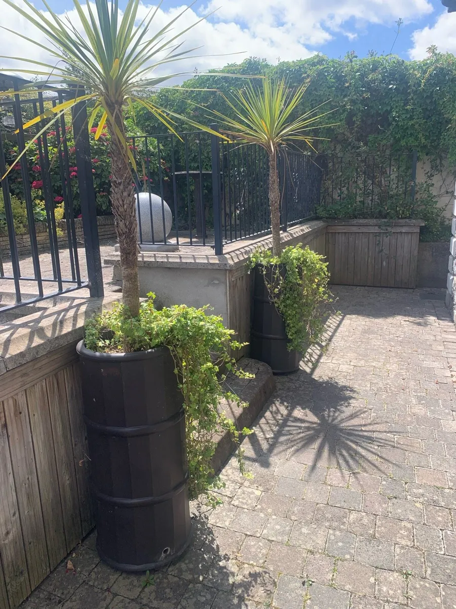 Planters, pots - Image 2