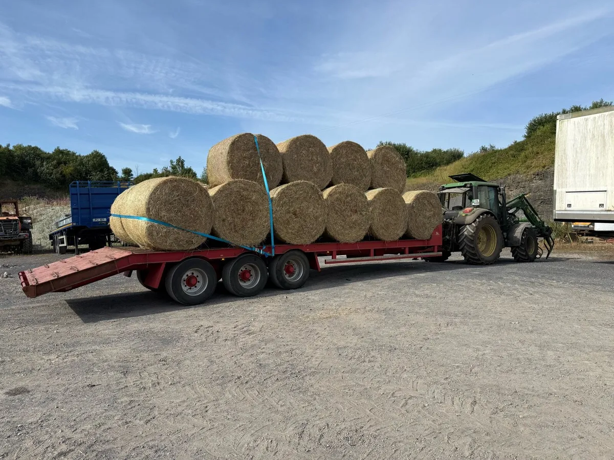 Top quality hay - Image 2