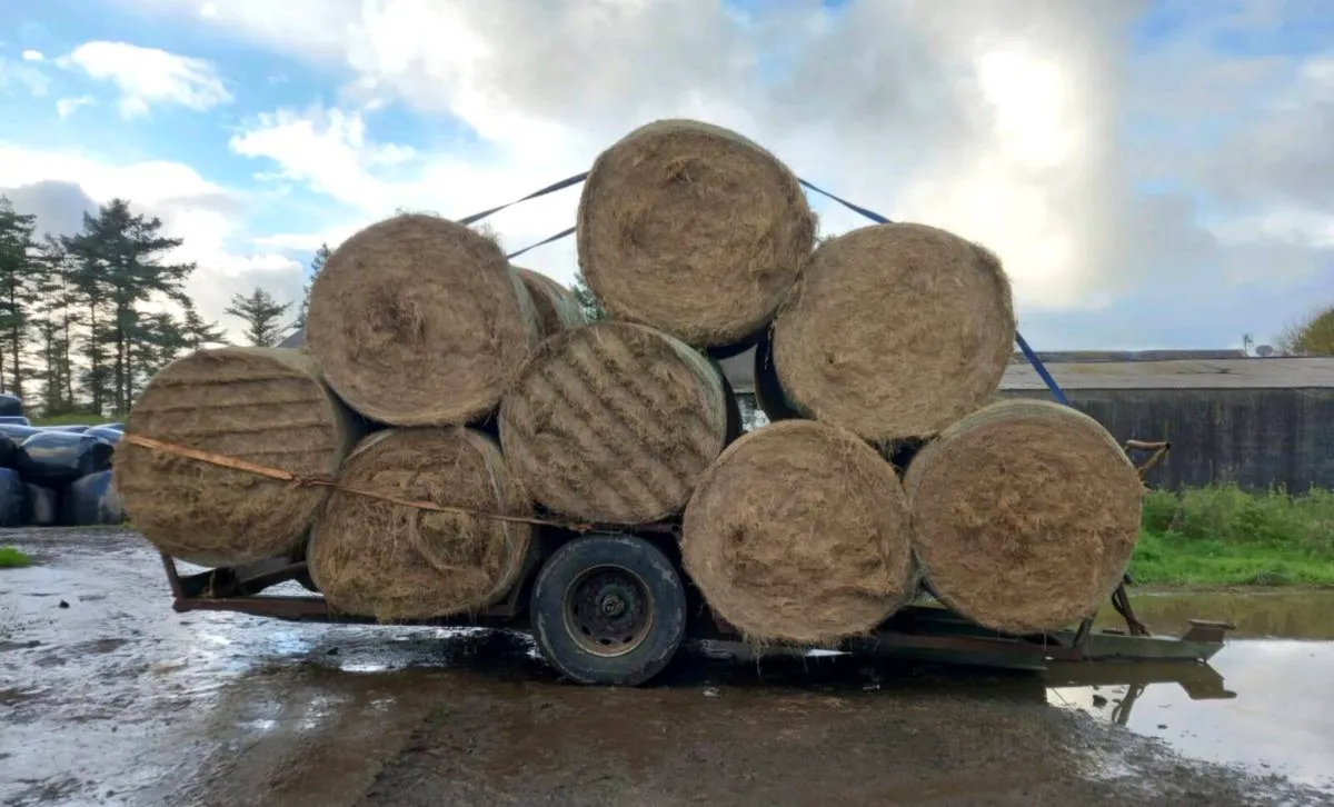Bale Trailer For Sale - Image 1