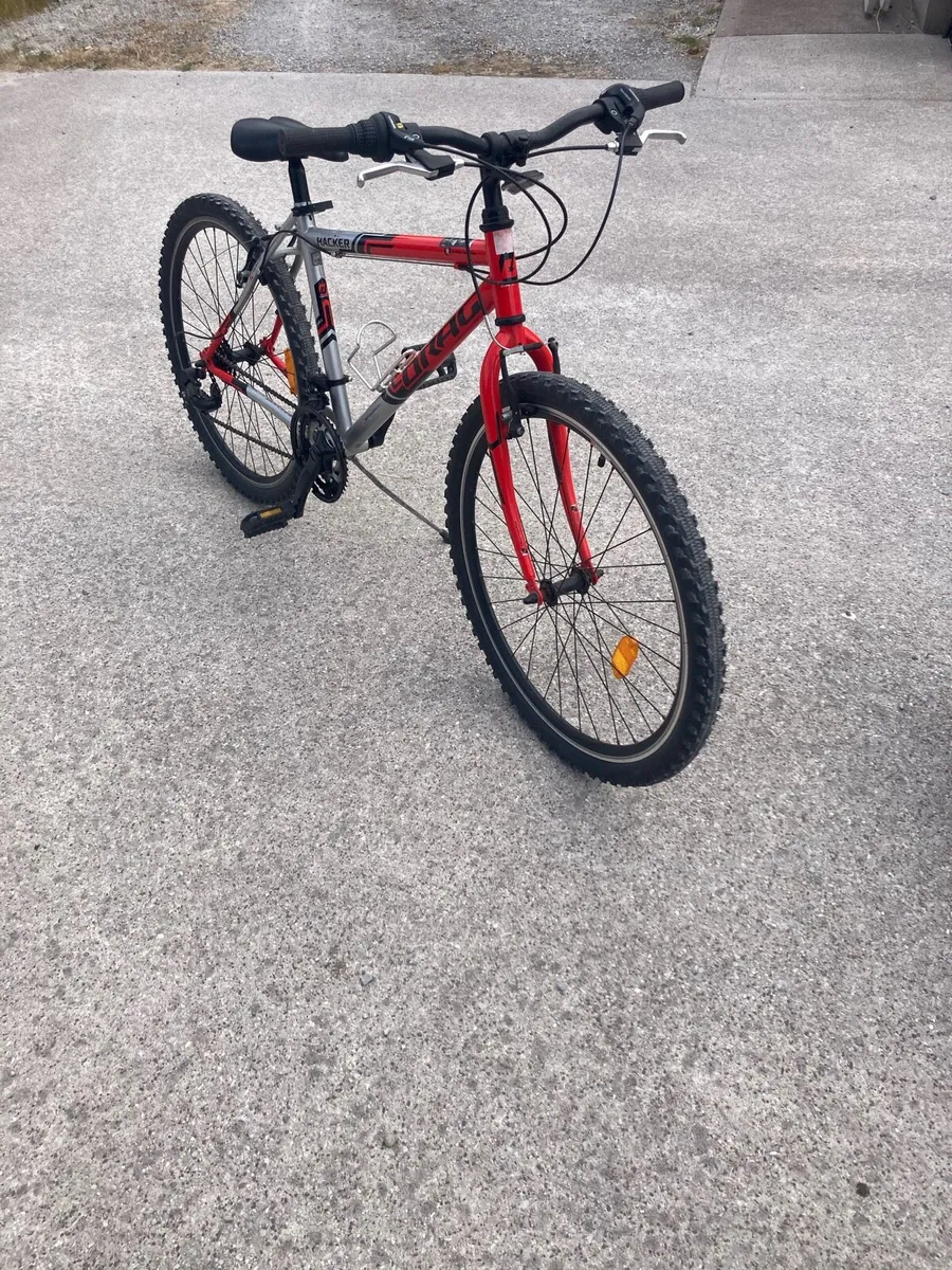 Bike - Image 1