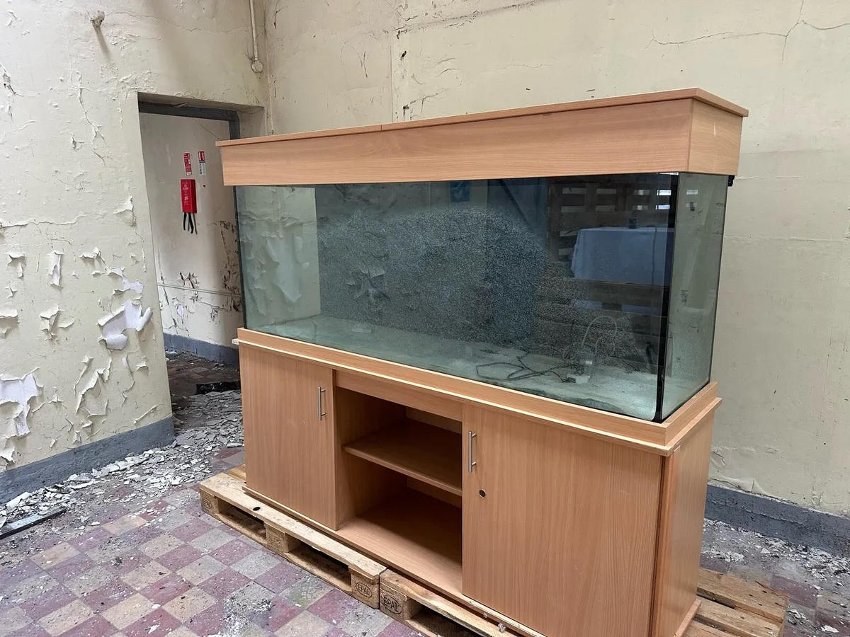 Fish tank - Image 1